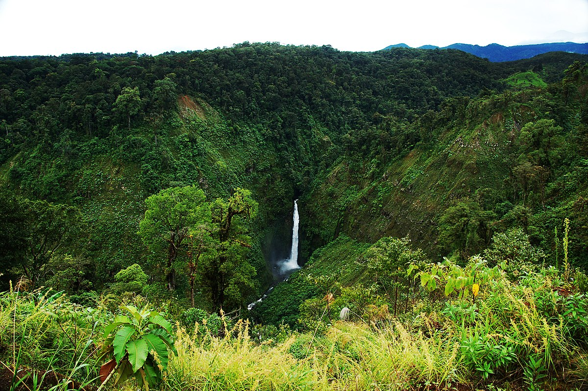 Costa Rica wildlife